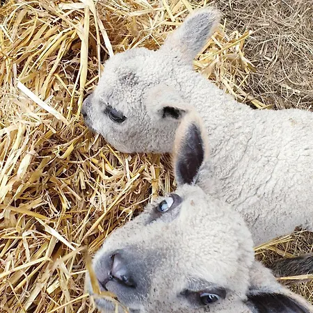 La De La Ferme Du Clos Giot 3*